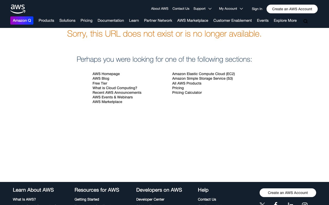 Amazon Q Developer 截图